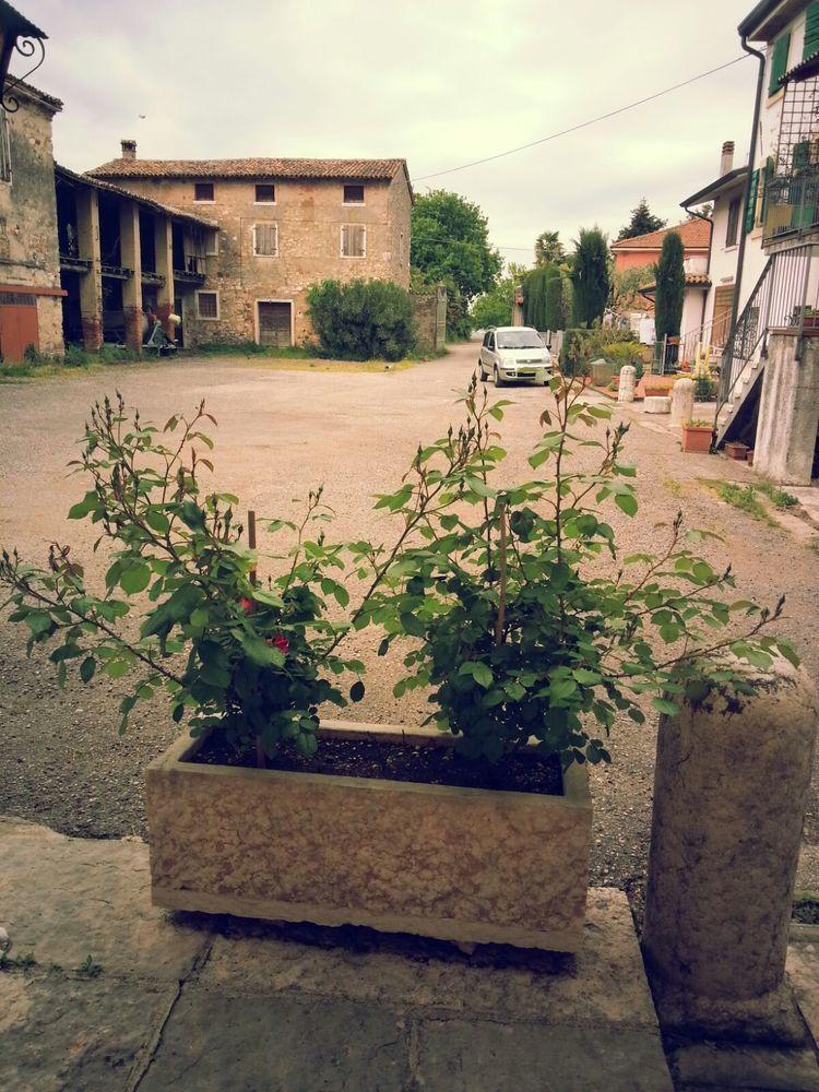 Albergo Mio Lazise Eksteriør billede
